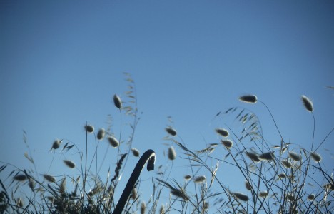 R 502 auf der �le de Noirmoutier / Vendee