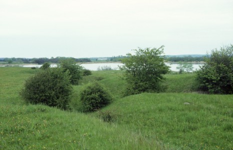 FlaZug LINDHOLM I, Stellungsgelände