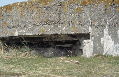 Feldmäßiger Beobachtungsstand