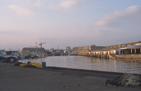 DOM-Bunker in der Verl�ngerung des Fischereikais