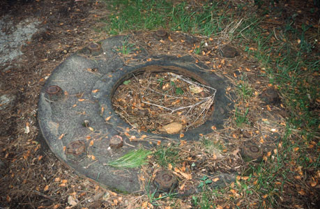 Gesch�tzpivot des WN "Ro 210H" bei L'Houmeau