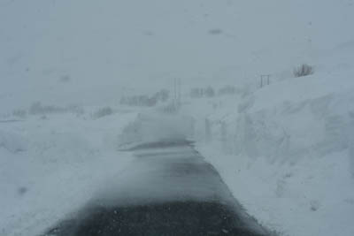 Im Juni – 2 km von der russischen Grenze entfernt