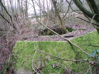 Sockel f�r FuSE 65