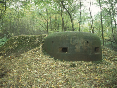 R 115SK bei Dillingen