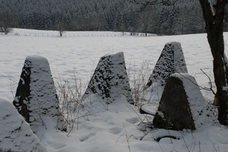 H�ckerlinie in der Schneeifel