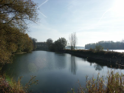 Das Schu�feld des R 115aSK in Richtung S�dwesten